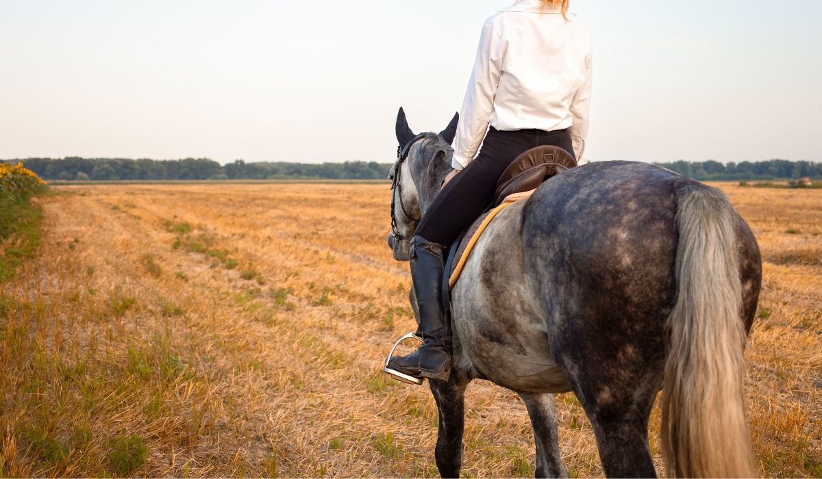 Faire du cheval en Eure-et-Loir : les meilleures balades